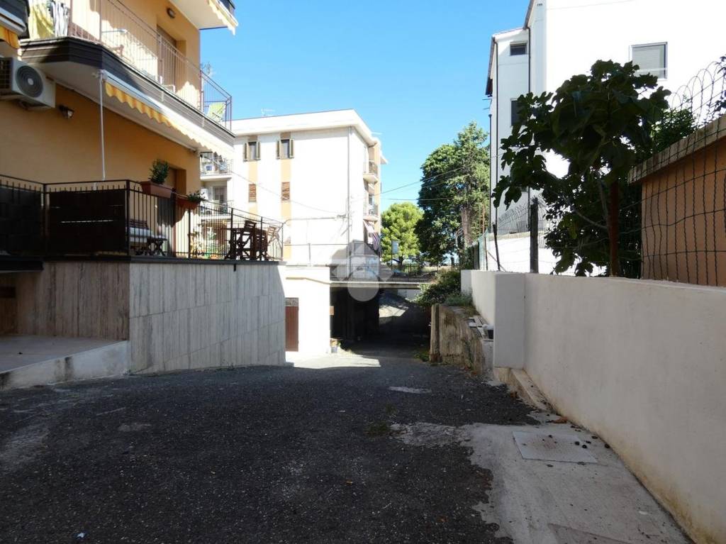 immagine annuncio 2 di 12