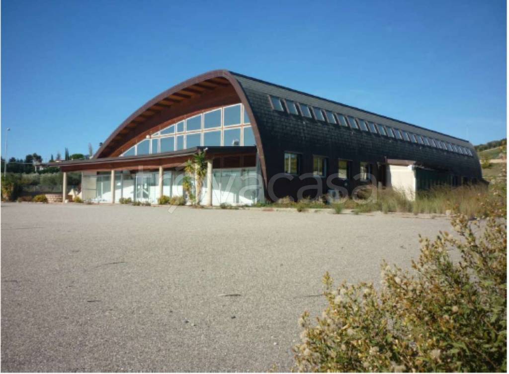 immagine annuncio 1 di 6