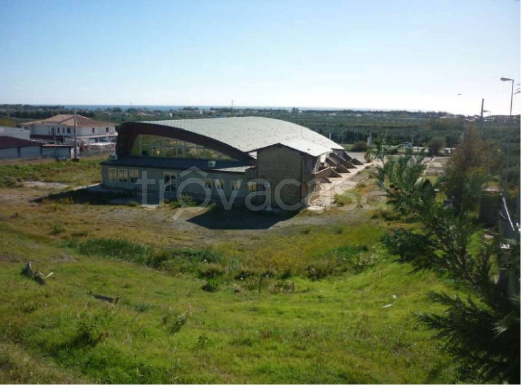 immagine annuncio 2 di 6