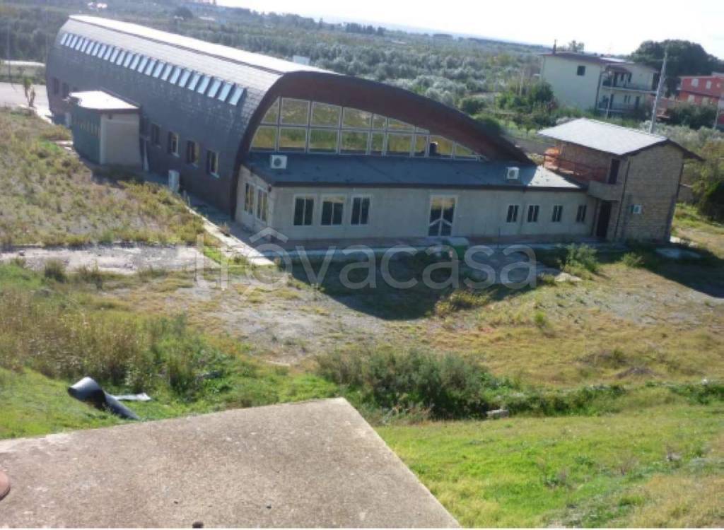 immagine annuncio 3 di 6