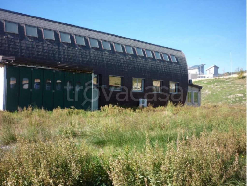 immagine annuncio 5 di 6