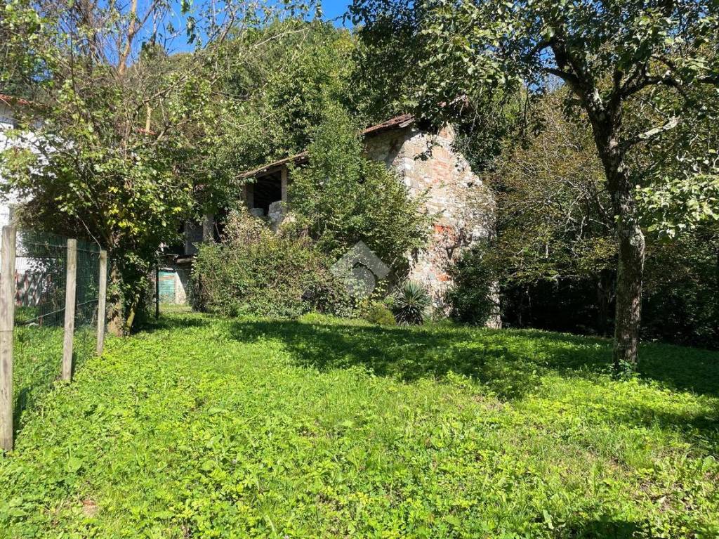 immagine annuncio 5 di 6