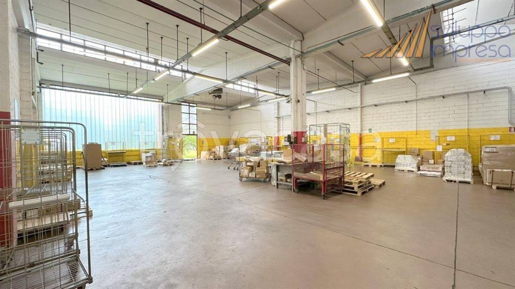 immagine annuncio 1 di 15