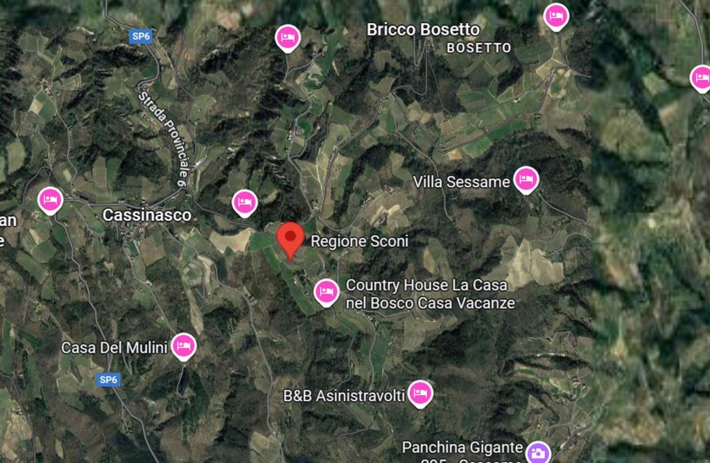 immagine annuncio 1 di 12