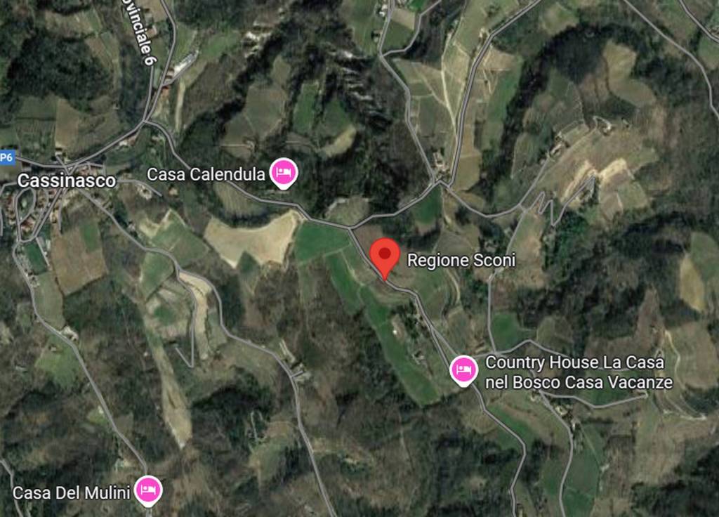 immagine annuncio 2 di 12