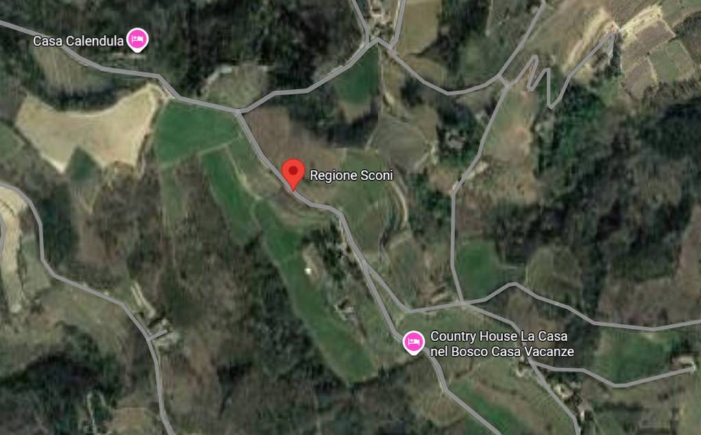 immagine annuncio 3 di 12