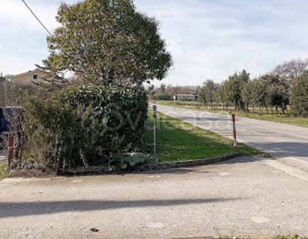 immagine annuncio 6 di 11