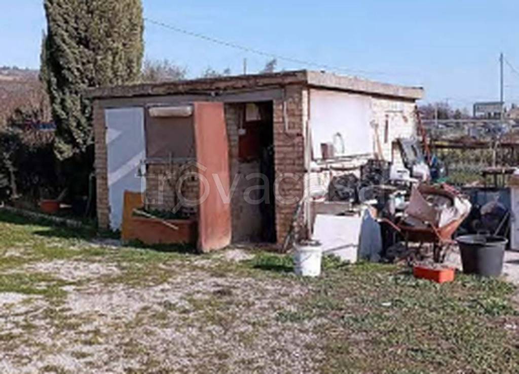 immagine annuncio 9 di 11