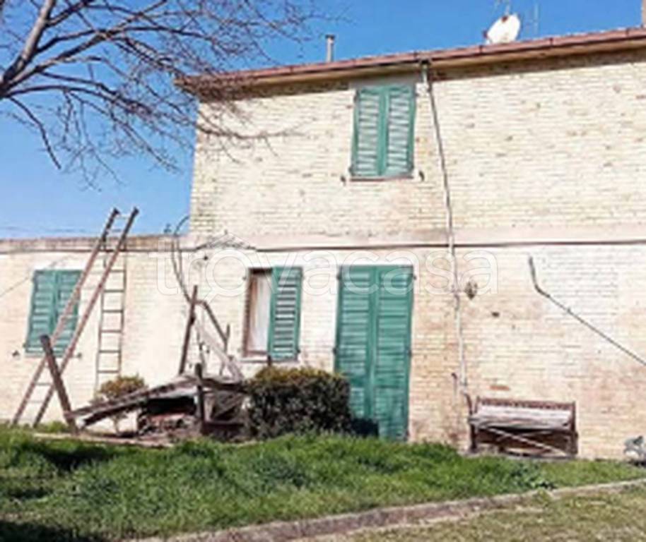 immagine annuncio 8 di 11