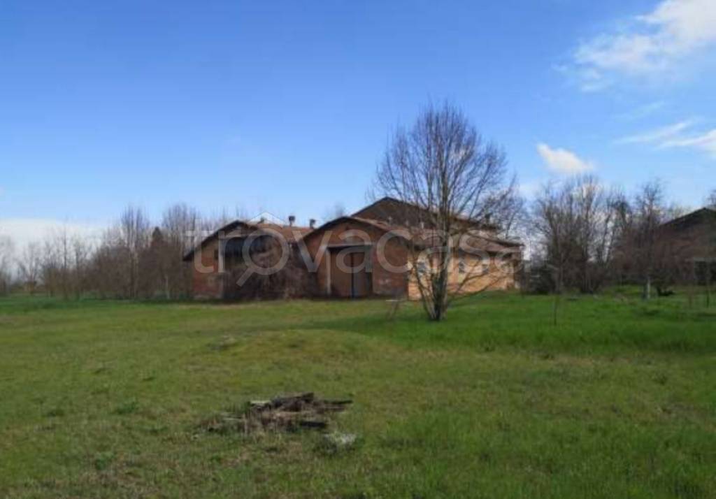 immagine annuncio 3 di 11