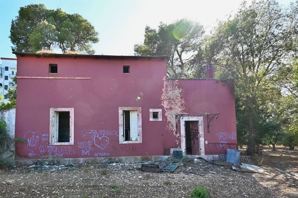 immagine annuncio 7 di 15