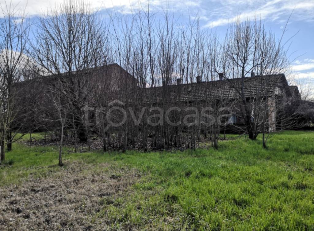 immagine annuncio 10 di 11