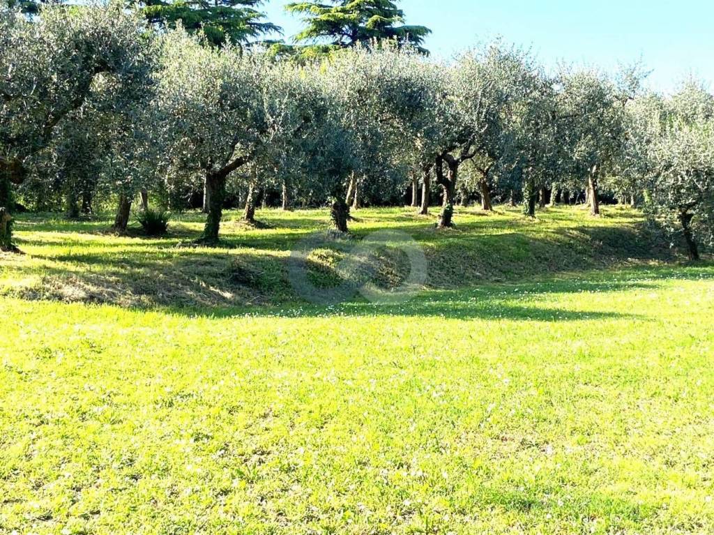 immagine annuncio 8 di 14