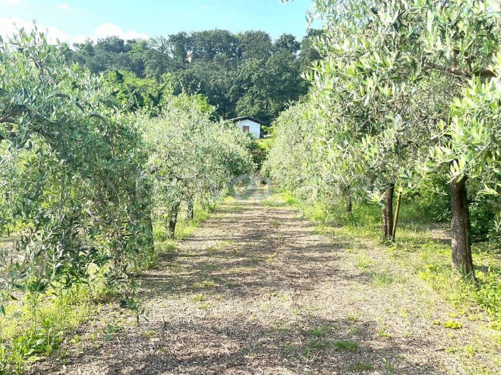 immagine annuncio 10 di 14
