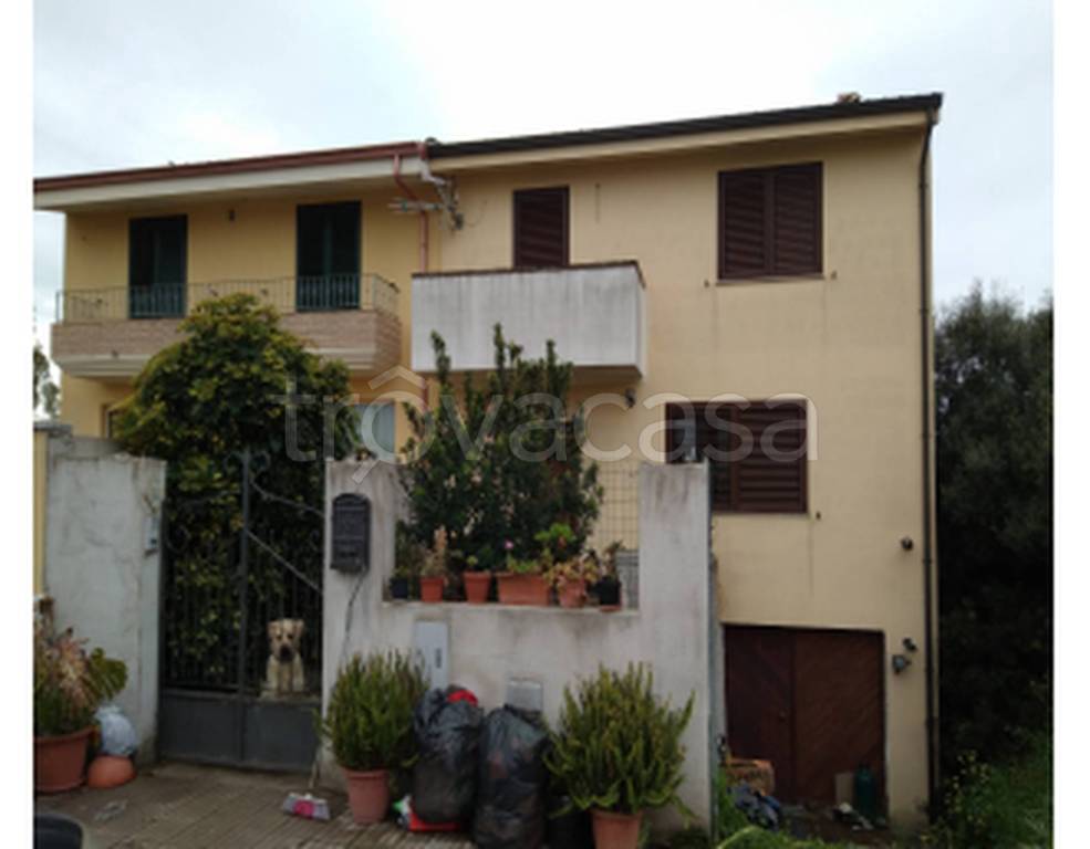 immagine annuncio 9 di 11