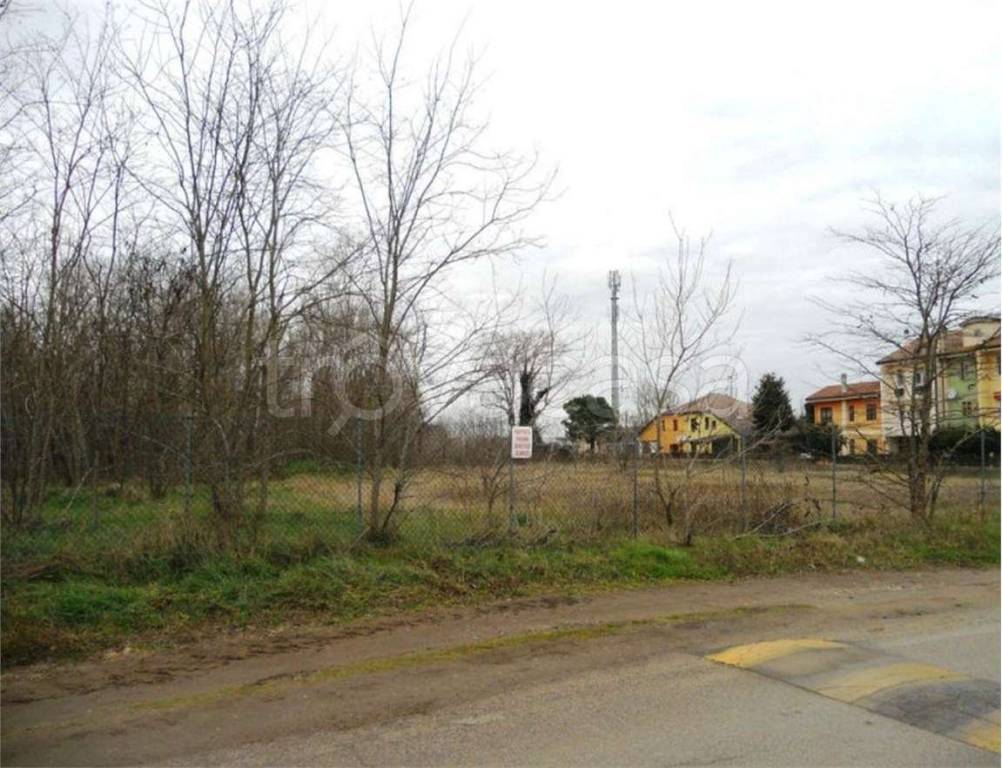 immagine annuncio 11 di 13