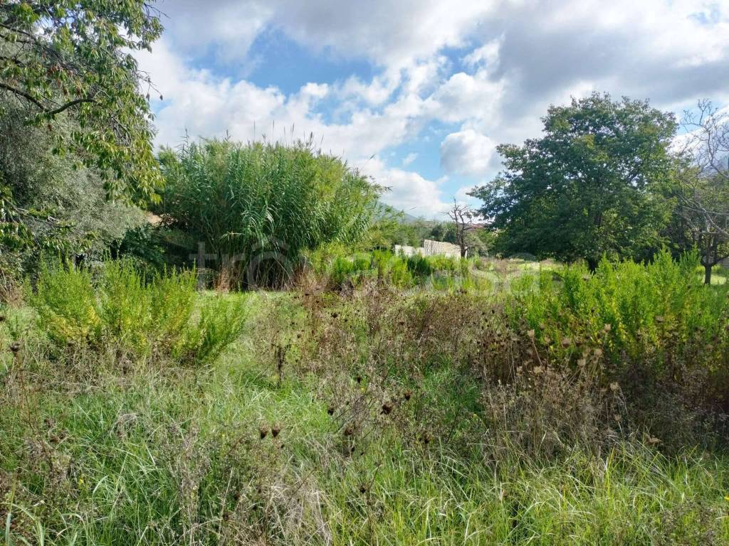 immagine annuncio 4 di 8