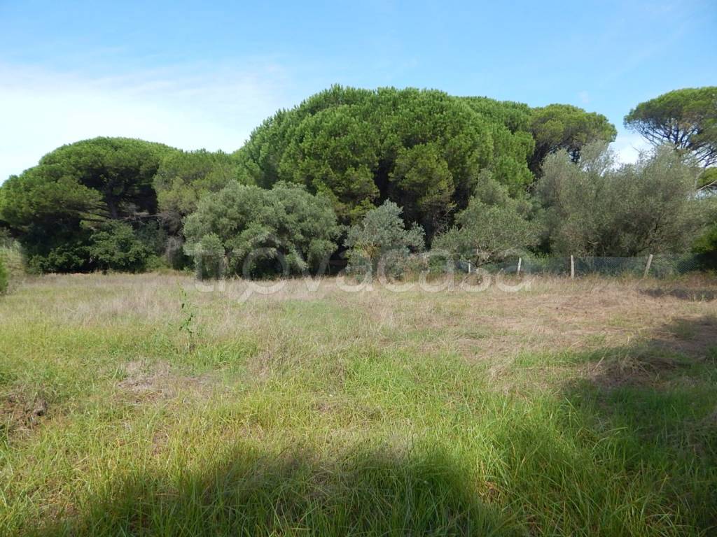immagine annuncio 6 di 7