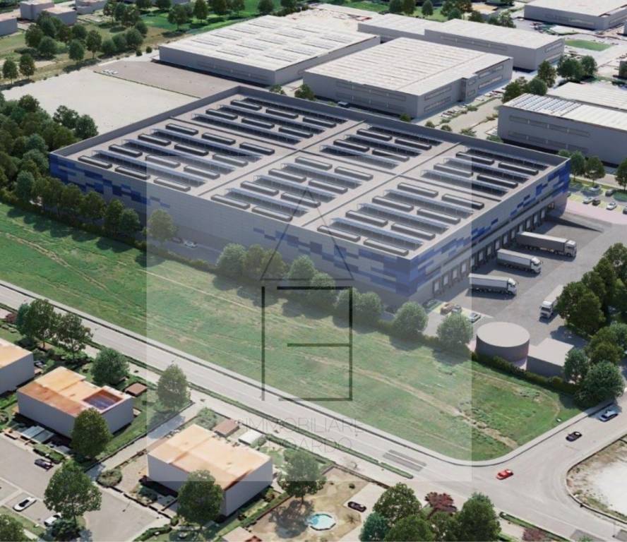 immagine annuncio 5 di 9