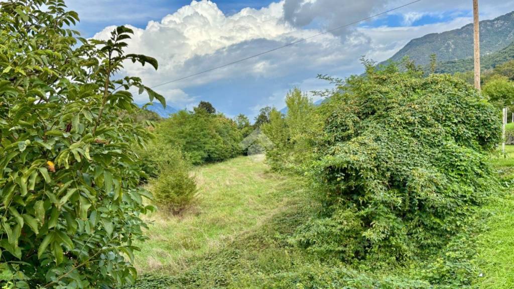 immagine annuncio 1 di 9