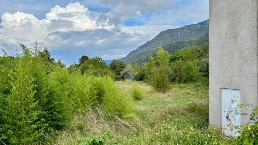 immagine annuncio 2 di 9