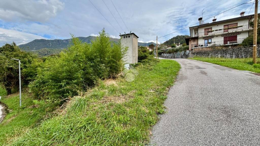 immagine annuncio 5 di 9