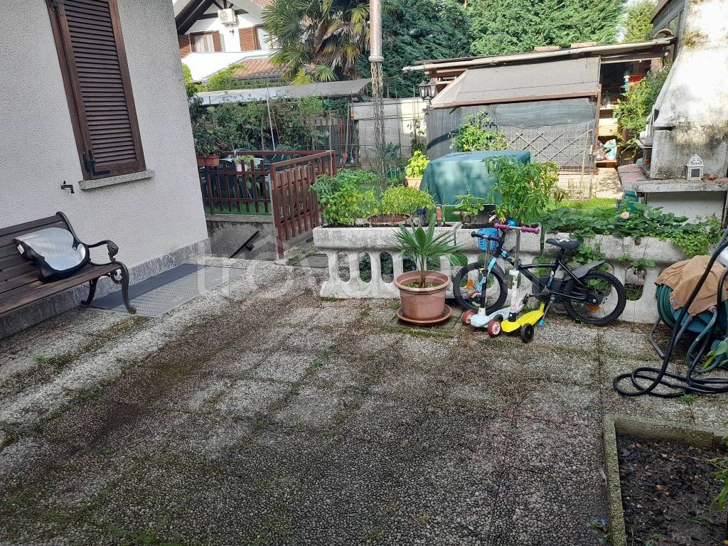 immagine annuncio 1 di 15
