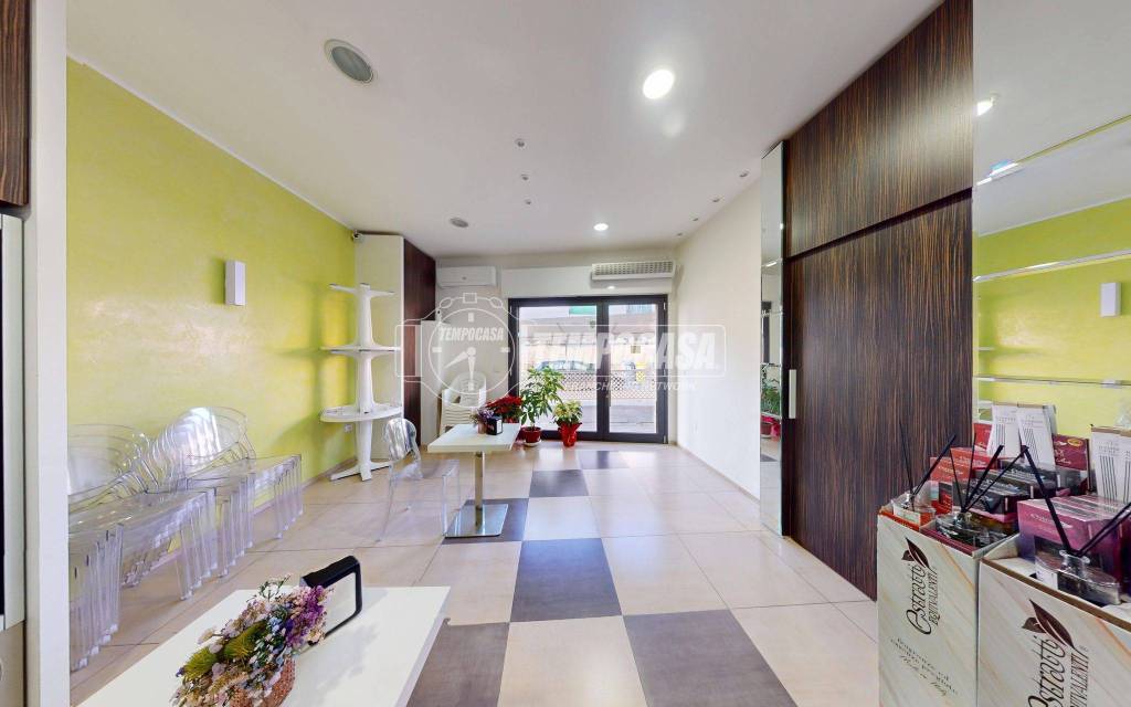 immagine annuncio 12 di 14