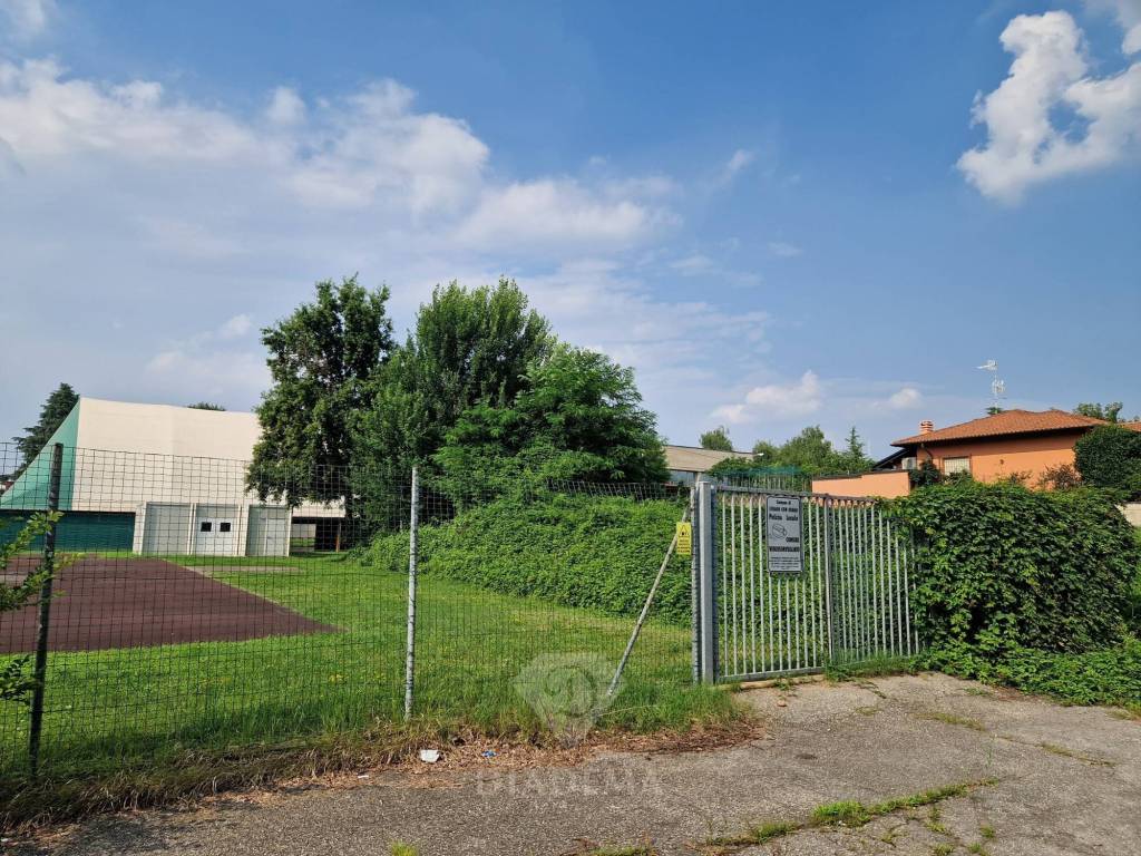 immagine annuncio 1 di 12