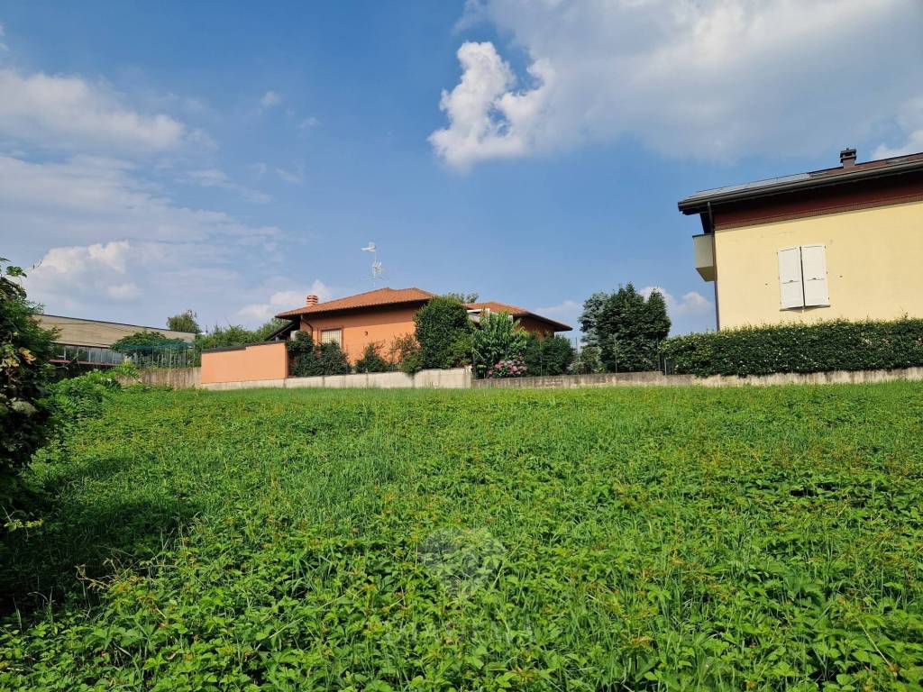 immagine annuncio 3 di 12