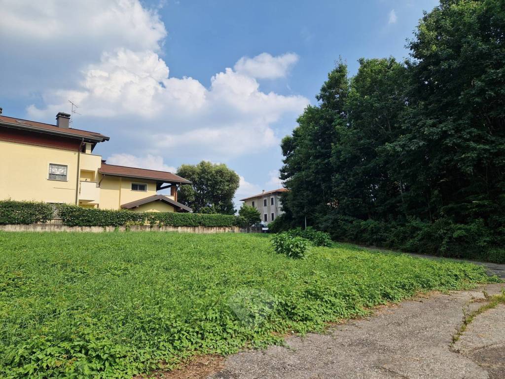 immagine annuncio 6 di 12