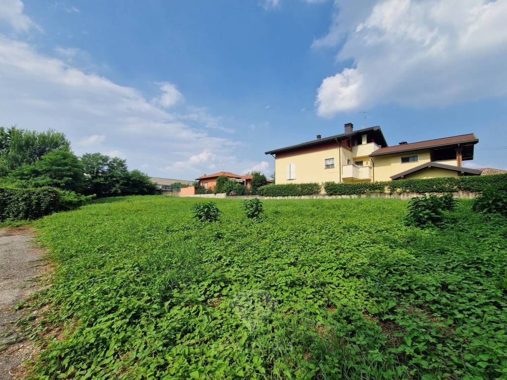 immagine annuncio 9 di 12