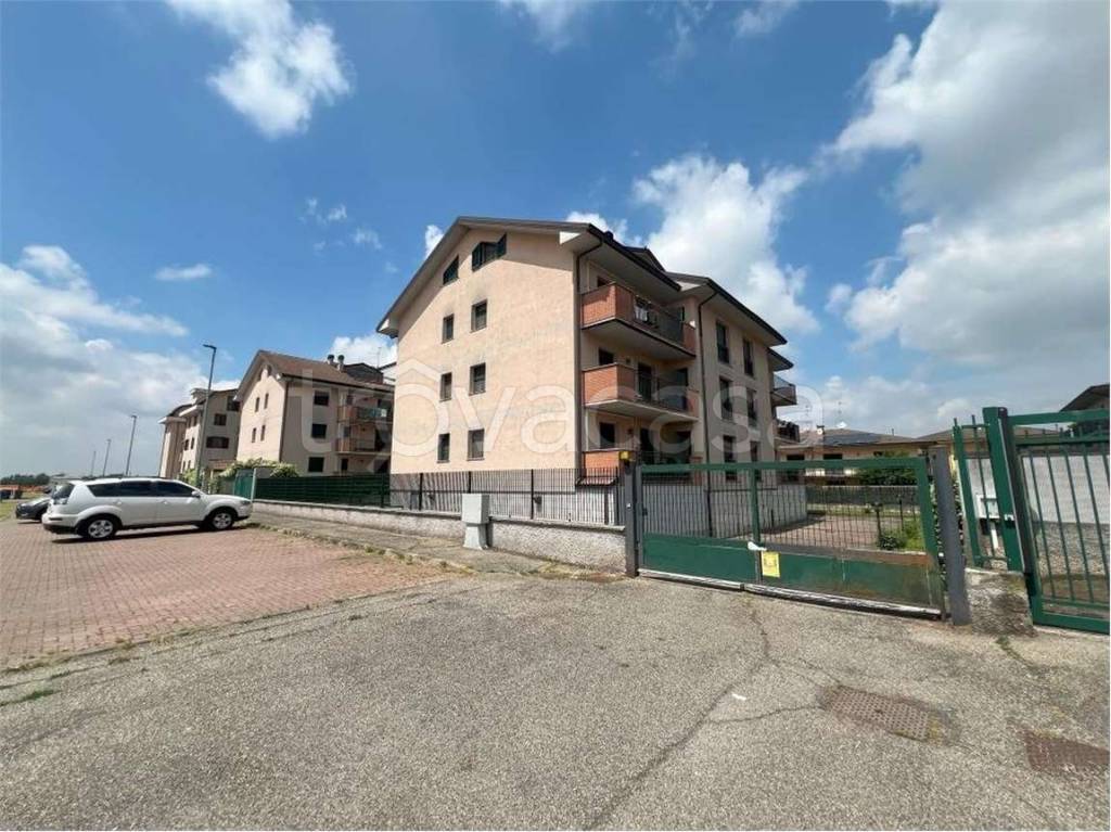 immagine annuncio 1 di 15