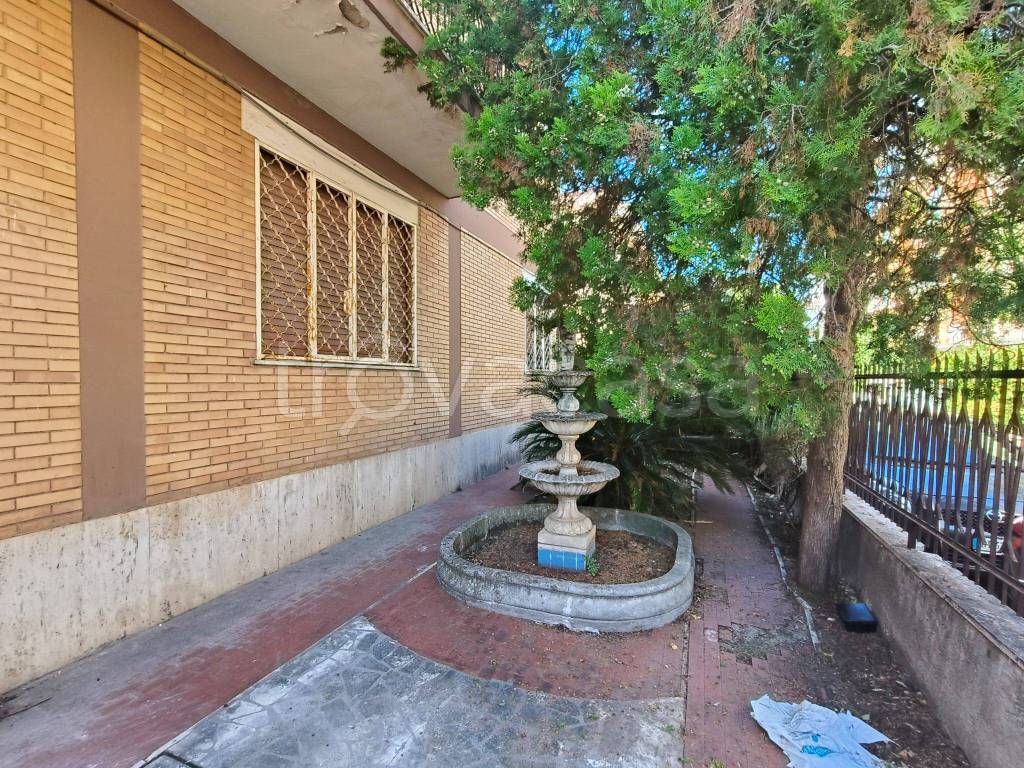 immagine annuncio 4 di 14