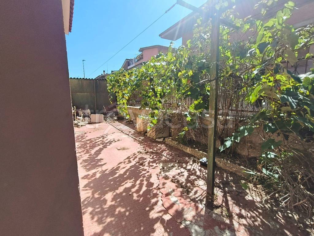 immagine annuncio 9 di 14