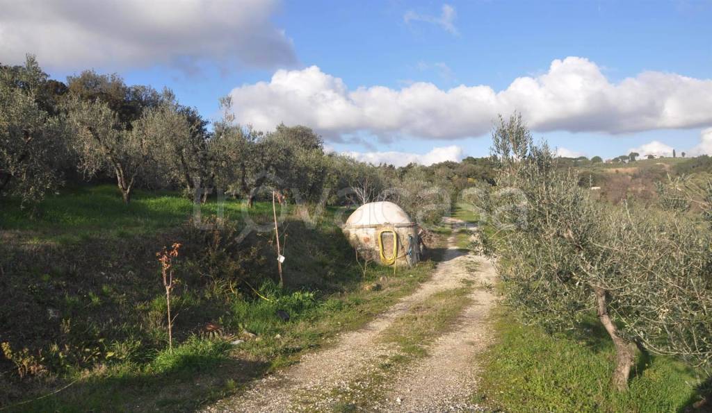 immagine annuncio 6 di 9