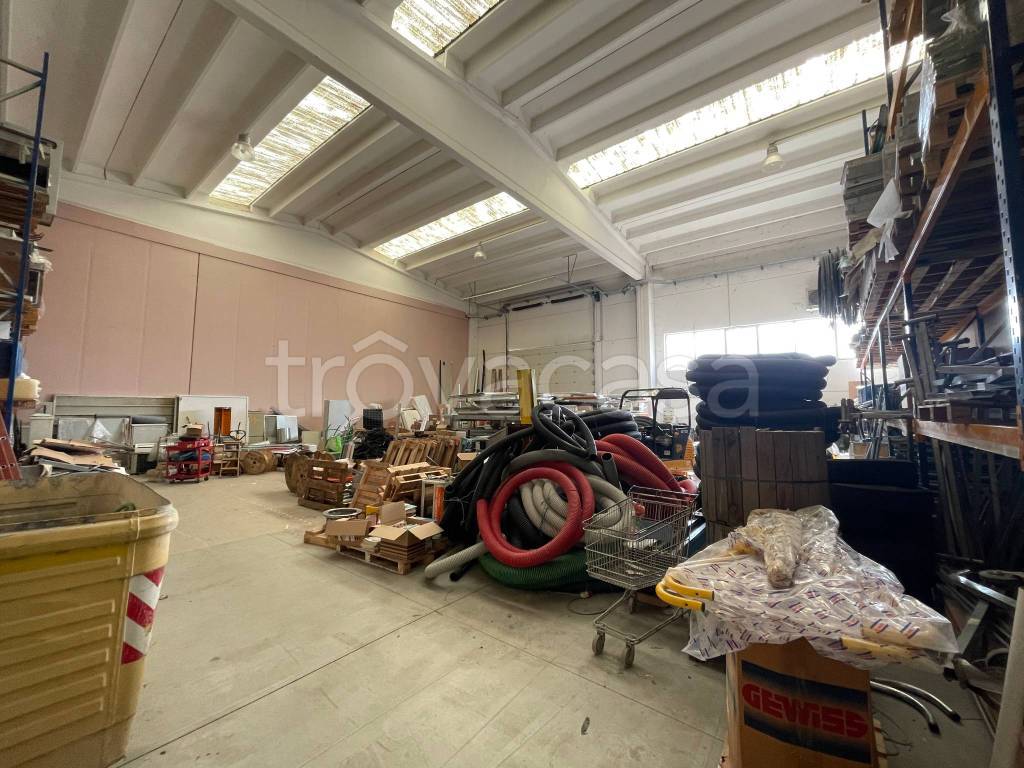 immagine annuncio 8 di 15