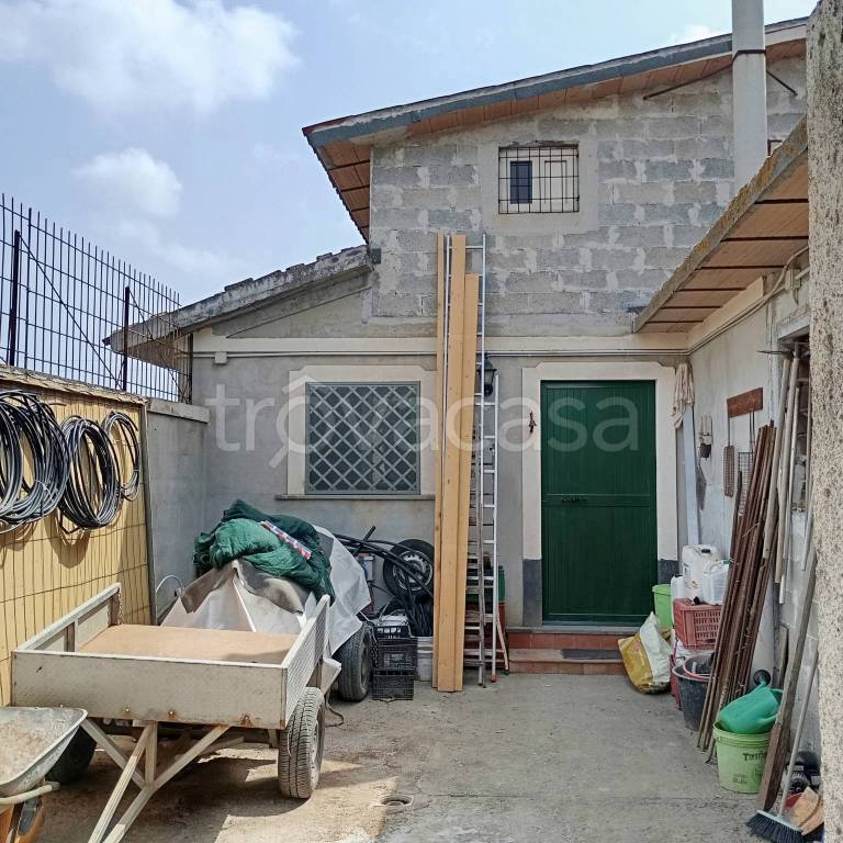 immagine annuncio 3 di 11