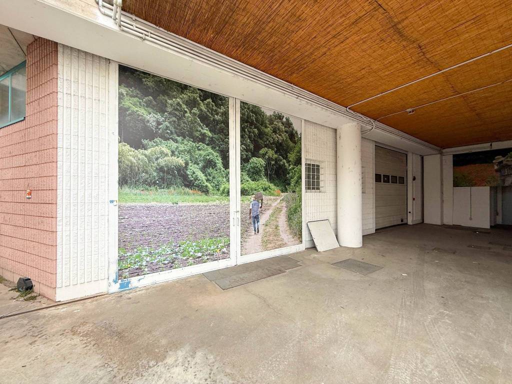 immagine annuncio 6 di 12