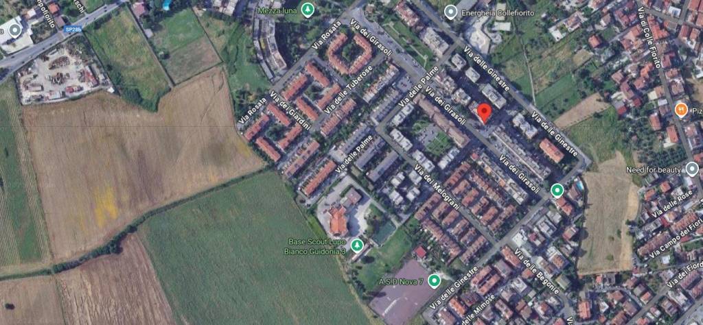 immagine annuncio 5 di 14