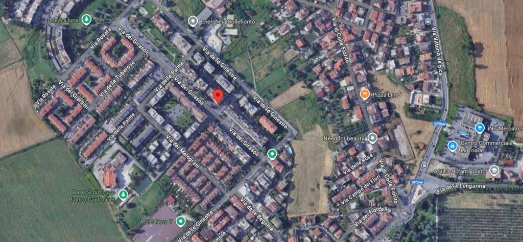 immagine annuncio 6 di 14