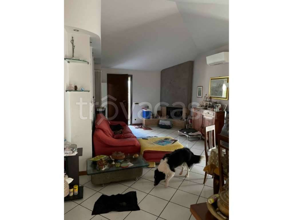 immagine annuncio 1 di 13