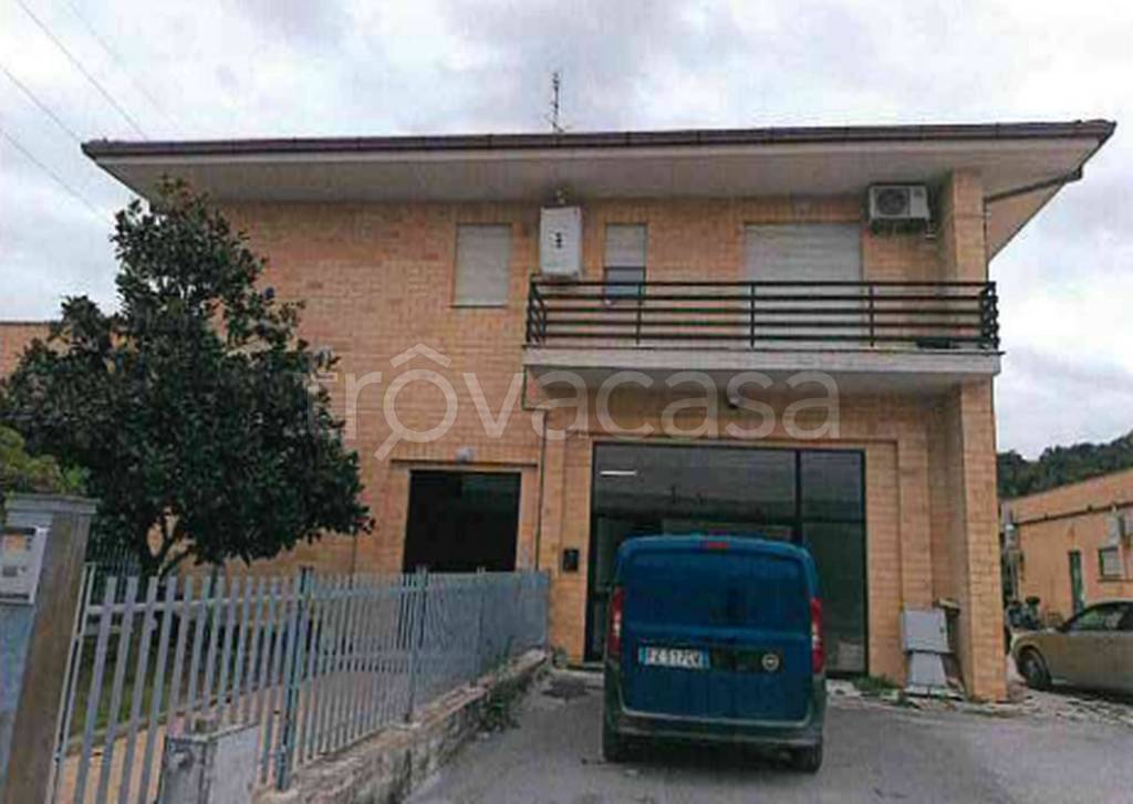 immagine annuncio 11 di 12
