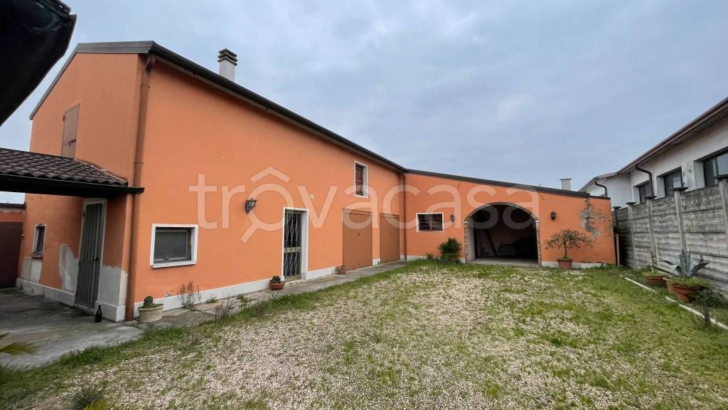 immagine annuncio 3 di 14