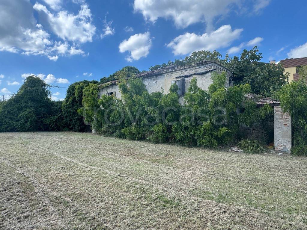 immagine annuncio 2 di 7