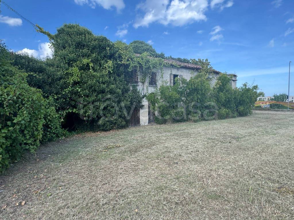 immagine annuncio 3 di 7