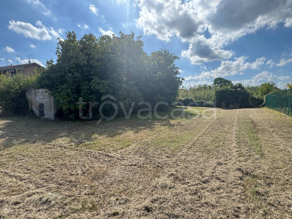 immagine annuncio 4 di 7