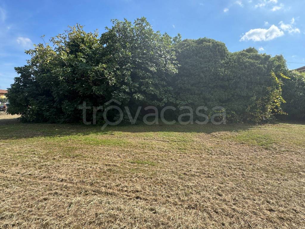 immagine annuncio 5 di 7