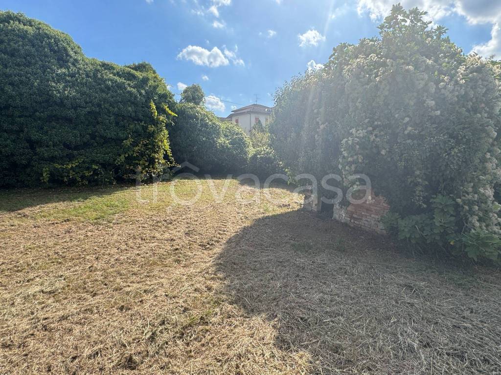 immagine annuncio 6 di 7