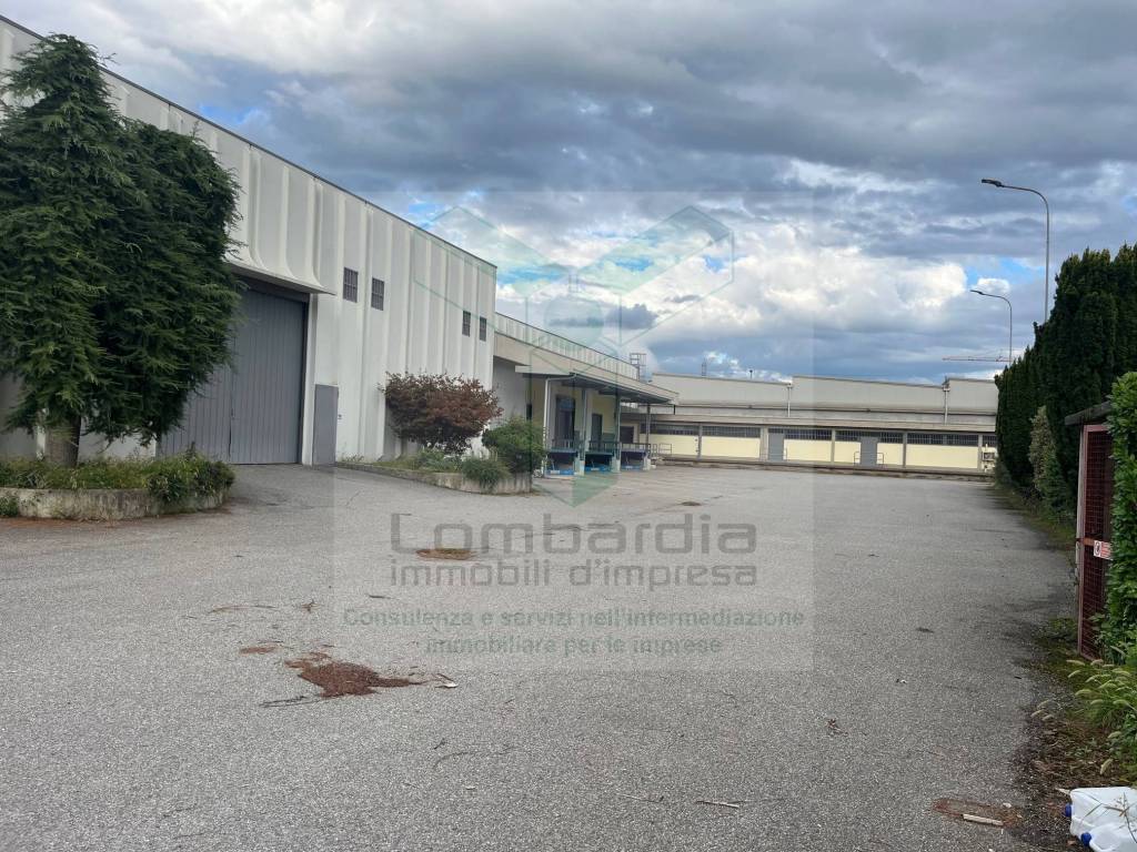 immagine annuncio 4 di 14